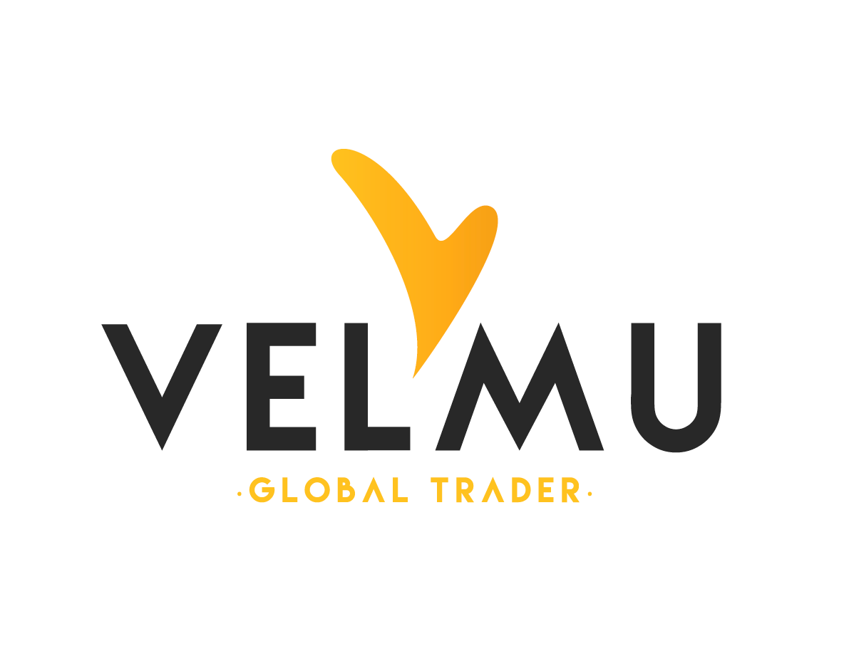 Captura de pantalla 2024-03-09 a las 18.16.35 logo velmu